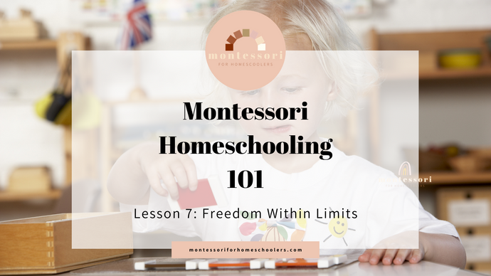 Freedom Within Limits in a Montessori Homeschool