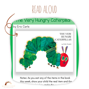 One Year Old Montessori Christian Homeschool Curriculum