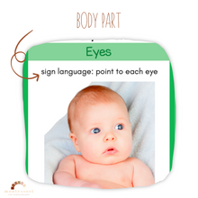 Load image into Gallery viewer, One Year Old Montessori Christian Homeschool Curriculum
